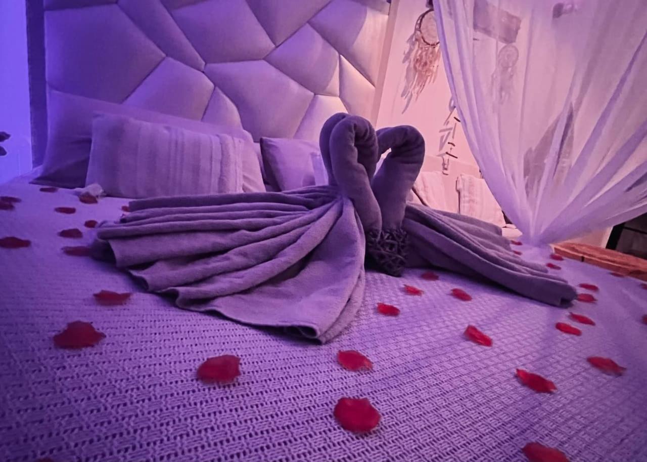 Villa Cocoon - Love Room Cocooning & 50 Nuances 屈热莱潘 外观 照片